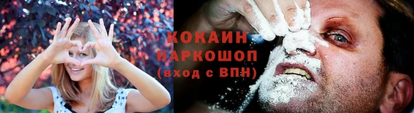 стаф Волоколамск