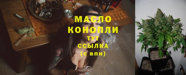 стаф Волоколамск