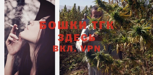 стаф Волоколамск