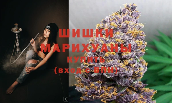 стаф Волоколамск