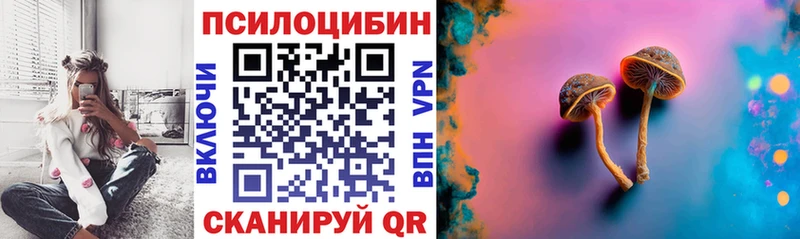 Псилоцибиновые грибы Psilocybine cubensis  где купить   Махачкала 