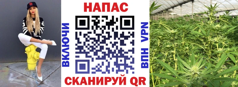 МЕГА рабочий сайт  Махачкала  Шишки марихуана White Widow 